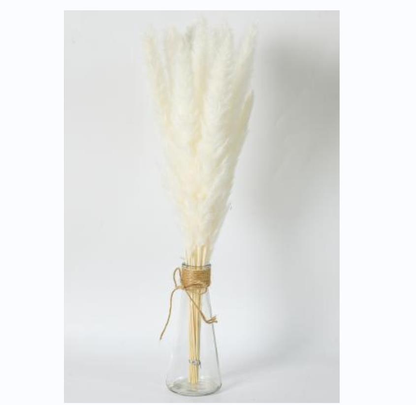 Dried Rabbit Tail Grass Flowers Artificial Plant Natural Pampa