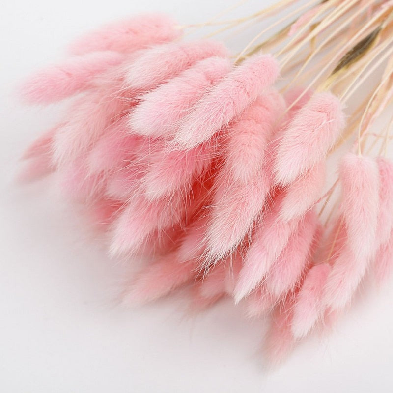 Dried Rabbit Tail Grass Flowers Artificial Plant Natural Pampa