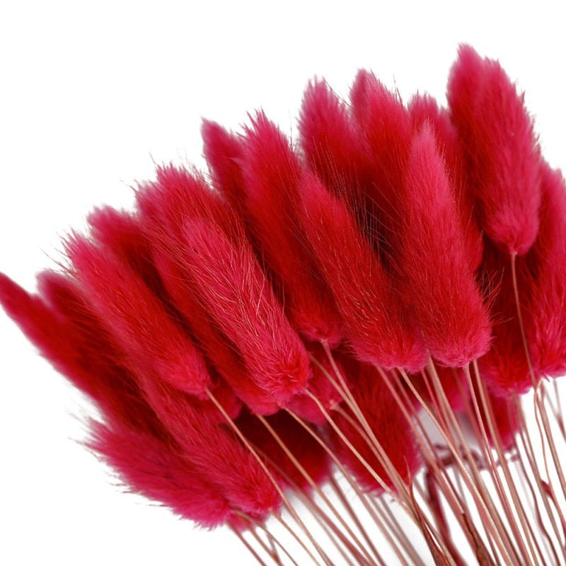 Dried Rabbit Tail Grass Flowers Artificial Plant Natural Pampa