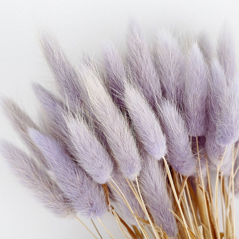 Dried Rabbit Tail Grass Flowers Artificial Plant Natural Pampa